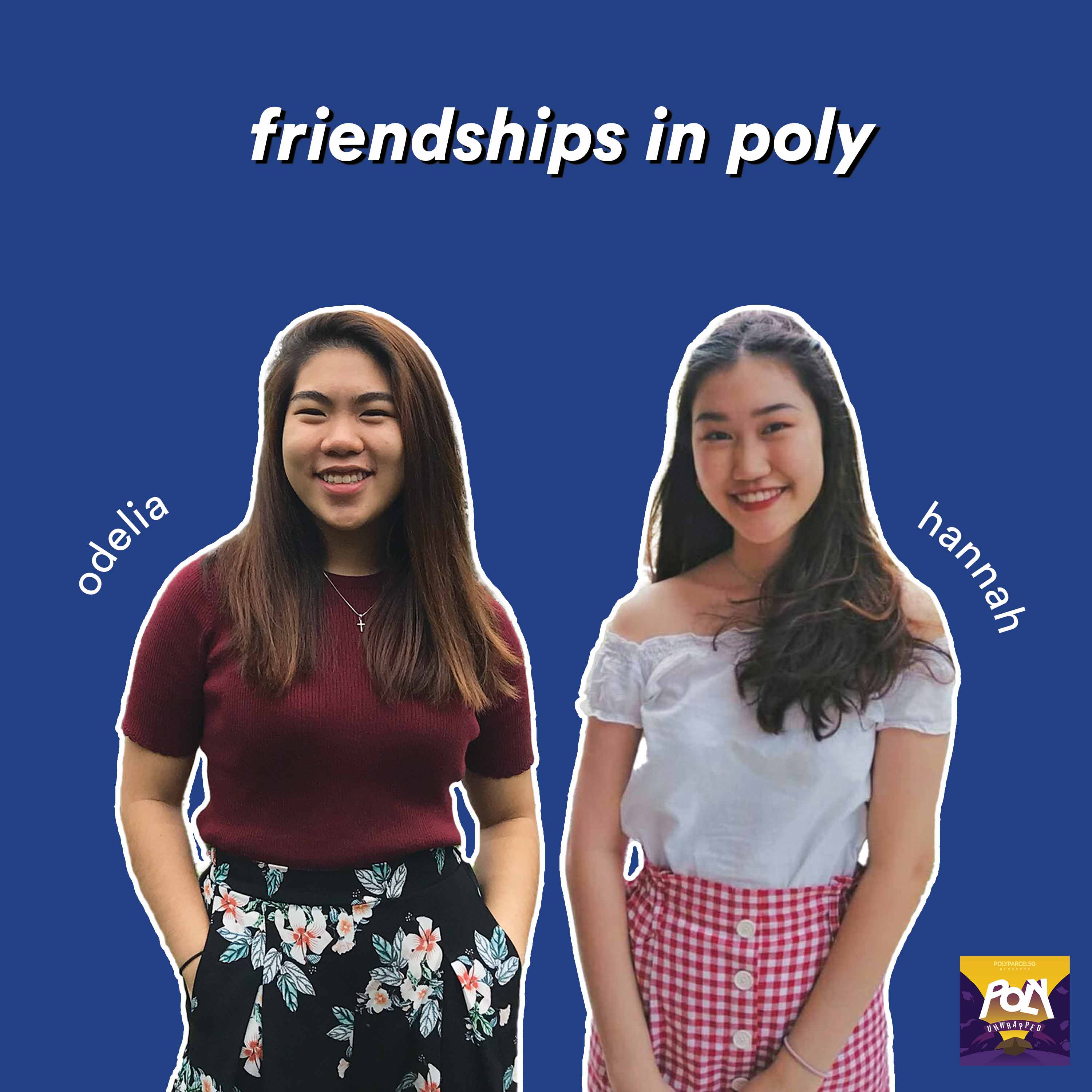Poly Friend Poly Parcel